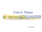 Unit 4 Powerpoint