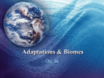 Adaptations & Biomes