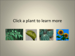 Learn About Plants