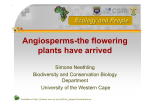 Angiosperms-the flowering plants have arrived