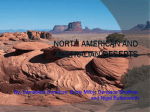 North American and Australian Deserts