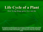 Plant Life Cycle - Mona Shores Public Schools