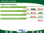 Introduction to Plants