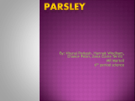 Parsley - m7science