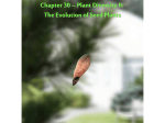 Chapter 30