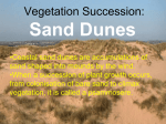 Vegetation Succession