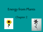 Chapter 2 science powerpoint
