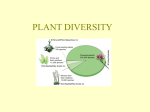 PLANT REPRODUCTION