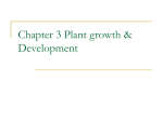 Chapter 3 Plant growth & Develpoment