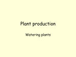 Plant production - World of Teaching