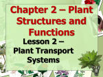 Chapter 2 – Plant Structures and Functions