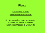 Plants