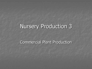 Nursery Production 3