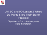 Unit 9C and 9D Lesson 2 Where Do Plants Store Their
