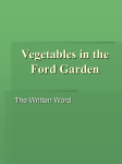 Learn About the Vegetables that Grow in Our Gardens