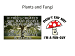 Plants and Fungi