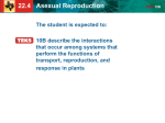 22.4 Asexual Reproduction TEKS 10B