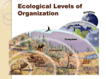 Earth`s Biomes - Cobb Learning