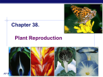 Ch_38 plant reproduction