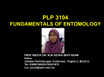 PLP 3104 FUNDAMENTALS OF ENTOMOLOGY GROUP 3