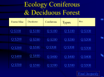 coniferous_deciduous_review_ppt