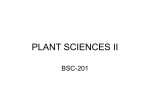 PLANT SCIENCES II
