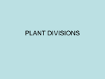 plant unit
