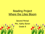Reading Project Where the Lilies Bloom