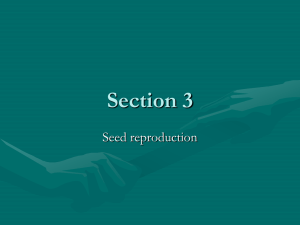 Section 3