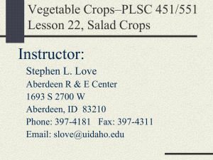 Veg Crops-Lesson 22 Salad crops