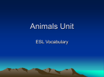 Animals presentation