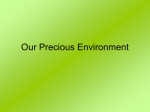 Our Precious Environment