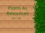 Plants As Resources