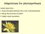adaptions for photo