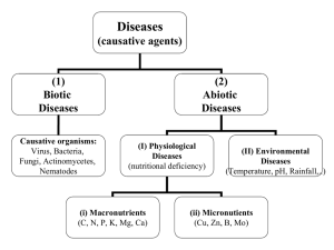 Abiotic Diseases