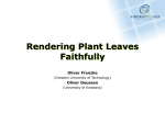 Rendering Plant Leaves Faithfully