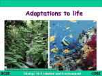 5.1 animal adaptation - science