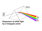 L 4 pigments - WHSPhotosynthesis