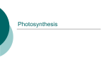 Photosynthesis - Cloudfront.net