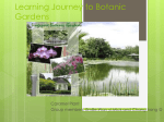 Learning Journey to Botanic Gardens