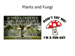 Plants and Fungi Powerpoint