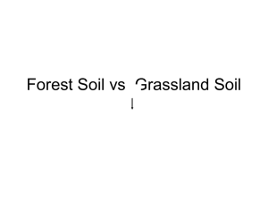 Forest Soil vs. Grassland Soil