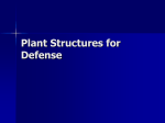 Plant Structures for Defense