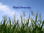 Ch22 Diversity of Plants