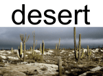 DESERT animals