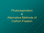 Photorespiration & Alternative Methods of Carbon Fixation