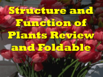 Overview of Plant Systems
