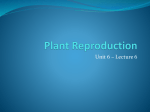 Plant Reproduction - Fulton County Schools