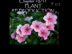 Chapter 11/12 PLANT REPRODUCTION