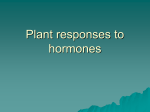 Plant responses to hormones